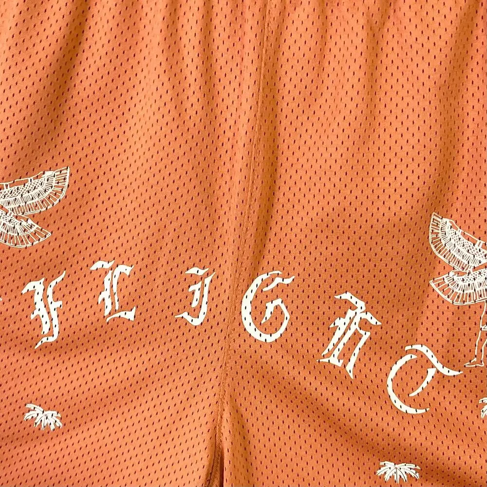 NWOT JORDAN Shorts M Flight Artist Series Umar Rashid Graphic Egyptian